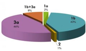 гепатит с 3 генотипа